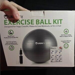 Silver Exercise Ball Kit